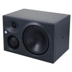 Monitor Da Studio Neumann Kh310a R