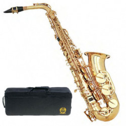 Sax Contralto Grassi Sal700 Laccato