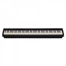 Piano Da Palco Roland Fp10 Bk