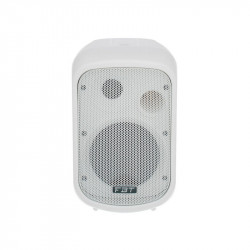 Cassa Passiva FBT J 5T W J-Series 100v