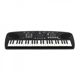 EKO KEYBOARDS Okey 49 + custodia alim. omaggio