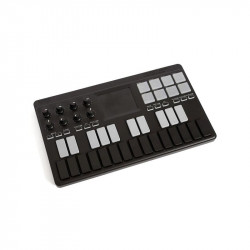 Superfici Di Controllo KORG nanoKEY Studio
