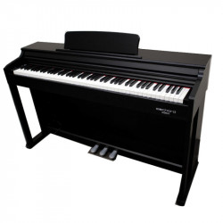 ECHORD DPX-100 Black