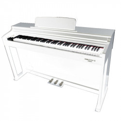 ECHORD DPX-100 White