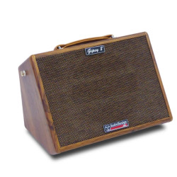 GIPSY 8 MKII Diffusore a batteria 8" per chitarrra e voce