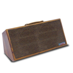 GIPSY 2x8 MKII Diffusore a batteria 2x8" per chitarrra e voce