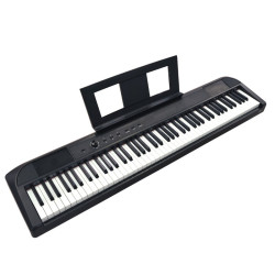 Piano ECHORD DP1 88 Tasti Pesato Black