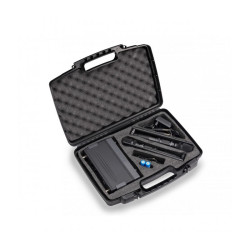 Radiomicrofono doppio WF-D290HH MKII Recharge