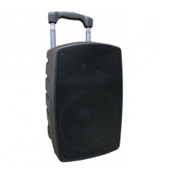 Cassa a Batteria ZZIGAN110 10"