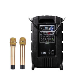 Cassa a Batteria ZZIGAN112 12"