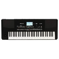 Tastiera Arranger Korg Pa300